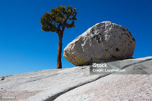 Granit Und Baum Stockfoto und mehr Bilder von Amerikanische Sierra Nevada - Amerikanische Sierra Nevada, Aussichtspunkt, Baum