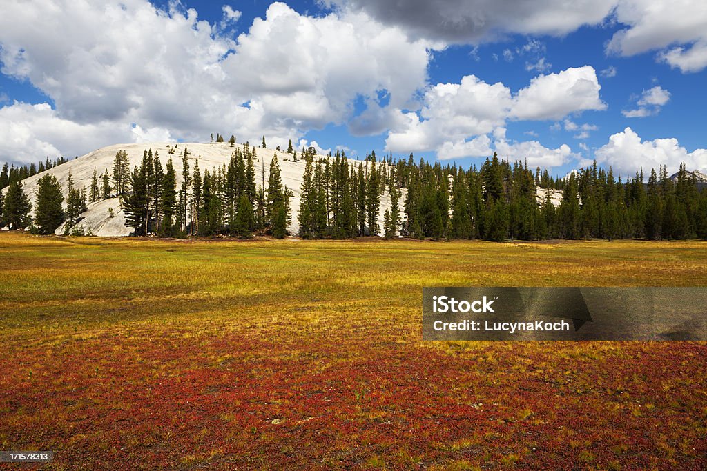 Tuolumne Meadows - Lizenzfrei Amerikanische Sierra Nevada Stock-Foto