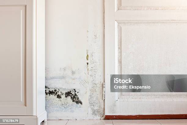 Mouldy Schimmel Flecken Auf Einem Feuchten Tür Und Wand Hinter Schrank Stockfoto und mehr Bilder von Schimmel - Pilz