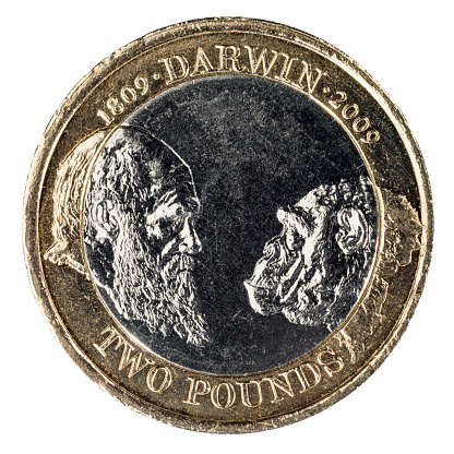 Macro image of a British £2 coin featuring Charles Darwin face to face with a Chimpanzee.