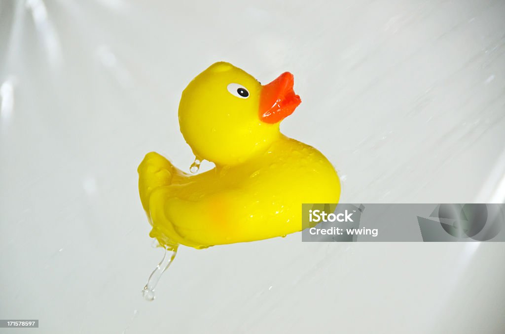 Pato de goma en la ducha - Foto de stock de Agua descendente libre de derechos