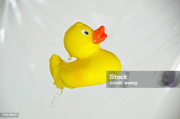 Photo libre de droit de Canard En Caoutchouc Douche banque d'images et plus d'images libres de droit de Canard en céramique - Canard en céramique, Canard en plastique, Chute d'eau