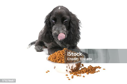 istock time to eat 171578687