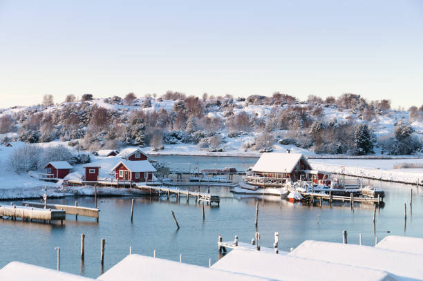 istock Winter day at the coast 171578867