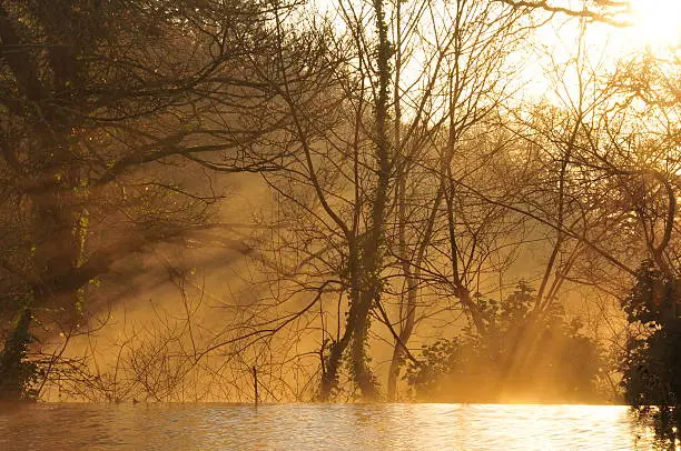 Telephoto image of morning Winter mist through sunrise light.