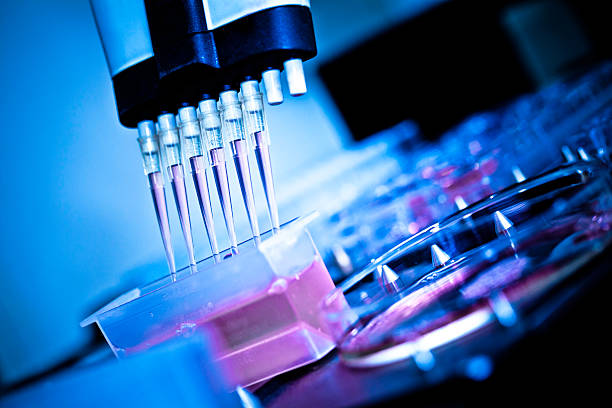 Analyzing samples medical research in pharmaceutical factory laboratory. pharmaceutical factory stock pictures, royalty-free photos & images