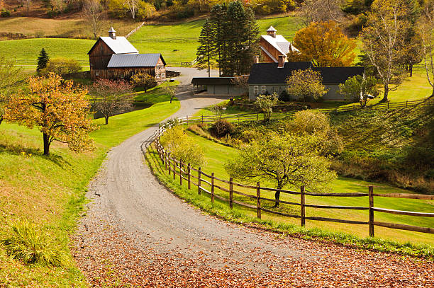 Vermont Homestead A leaf covered lane leads to a barn and house in a quiet hillside valley near Woodstock, Vermont woodstock stock pictures, royalty-free photos & images