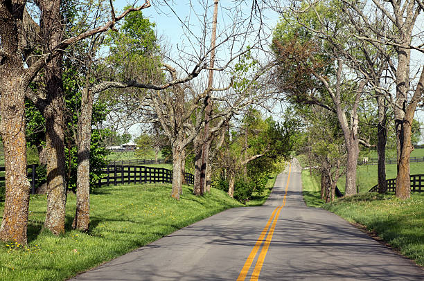 road through Kentucky bluegrass country stock photo