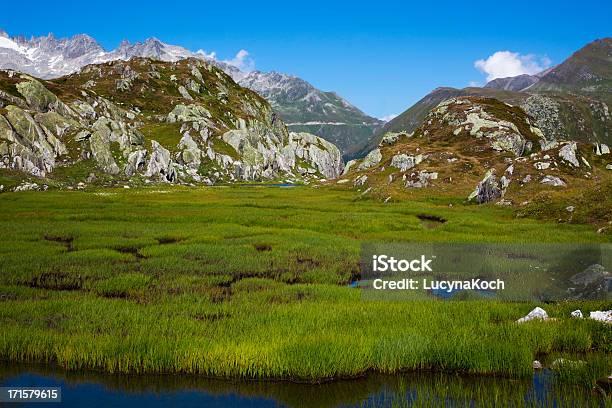 Alpine Sommer Stockfoto und mehr Bilder von Moor - Grasland - Moor - Grasland, Schweiz, Alpen