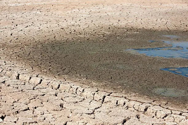 Photo of Cracked ground with dry mud around watering hole