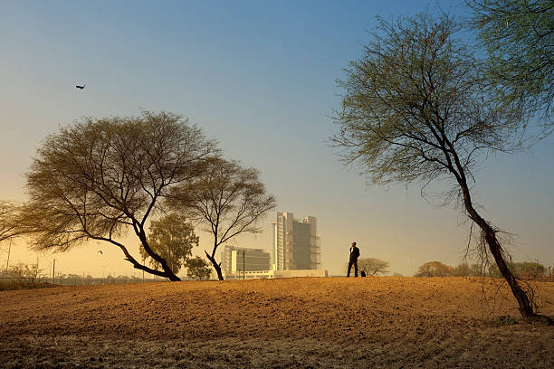 A businessman is standing alone between trees on earthy ground at dawn, he is looking up at sky.