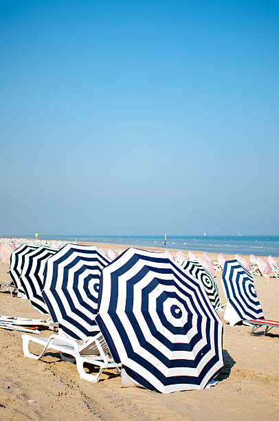 istock Umbrellas on the Belgian beach 171579750