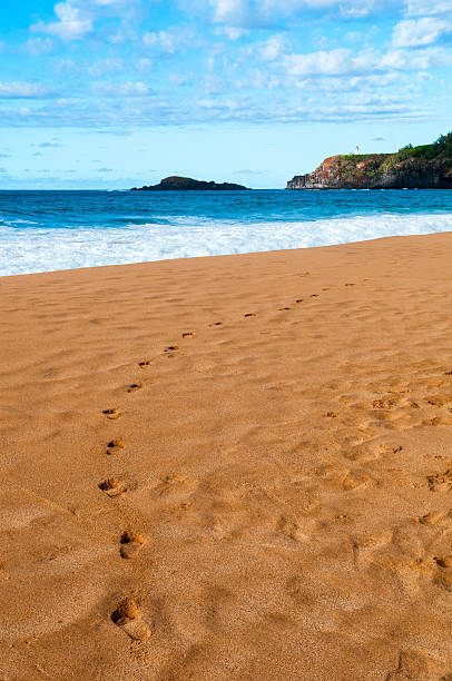 Footprints on a sandy beach in Kauai. Kilauea Point Lighthouse, built in 1913, is in the distance