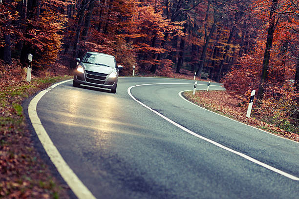 夕暮れの秋の森 road - road reflector ストックフォトと画像