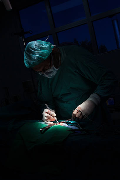 Surgery inguinal hernia repair scalpel photos stock pictures, royalty-free photos & images