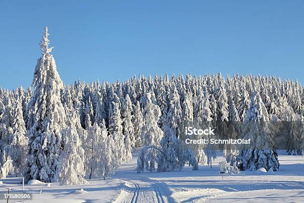 Winterlandschaft In Black Forest Stockfoto und mehr Bilder von Blau - Blau, Fotografie, Frost