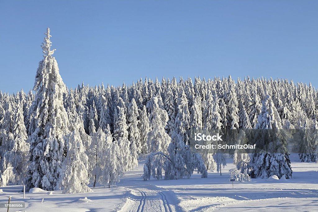 Zimowy krajobraz w Schwarzwald - Zbiór zdjęć royalty-free (Bez ludzi)