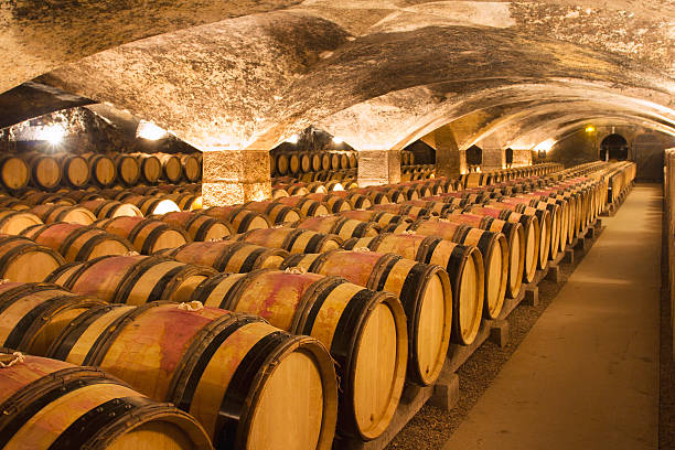 wine weinkeller - burgund frankreich stock-fotos und bilder