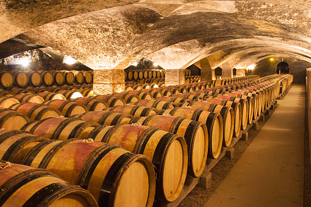 와인 cellar - 샴페인 와인 뉴스 사진 이미지