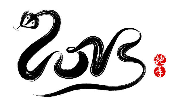 istock Year of the snake in 2013 (Clipping Path!) 171580706