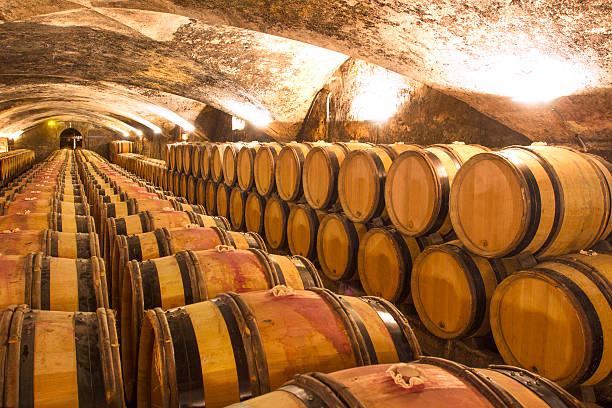 cave à vin - aging process french culture winemaking next to photos et images de collection