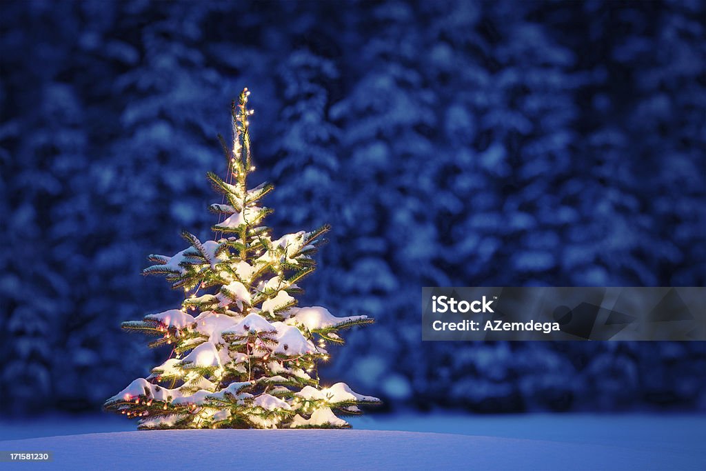 Perfekte Weihnachten - - Lizenzfrei Bildhintergrund Stock-Foto