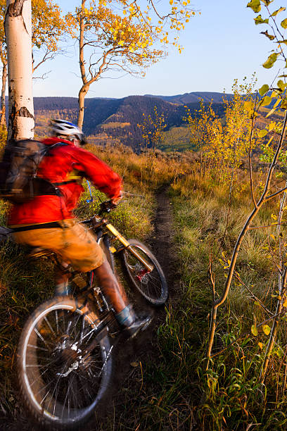ciclismo de montaña singletrack en bosque de aspen - usa action adventure aspen tree fotografías e imágenes de stock