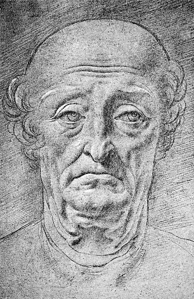 Head Of An Old Man By Leonardo Da Vinci Stock Illustration