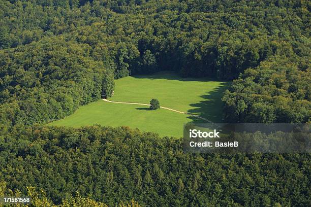 Glade Im Wald Stockfoto und mehr Bilder von Lichtung - Lichtung, Wald, Deutschland