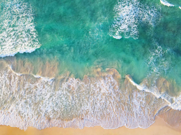 istock playa rincon - samana, dominican republic 1715816772