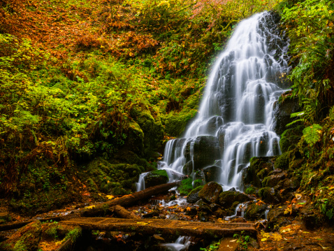 Beautiful Fairy falls in Columbia River Gorge in Oregon, USA on a fine autumn day