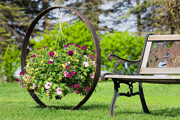Flower Basket Hanging on Wagon Wheel by Garden Bench A hanging basket with Petunias, Verbena and Million Bells next to a garden bench. The basket is hanging on an antique steel wagon wheel that has been recycled into a plant holder.  wagon wheel bench stock pictures, royalty-free photos & images
