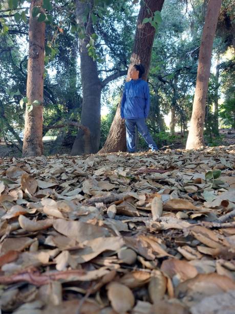 istock Portrait Amongst Woodland Trees 1715818412
