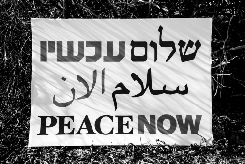 The placard of an Israeli peace activist, set aside in bushes where it is partially covered in shadow after the protest, at the Erez Crossing between Israel and Gaza. Concept shot: peace partially hidden in shadow.