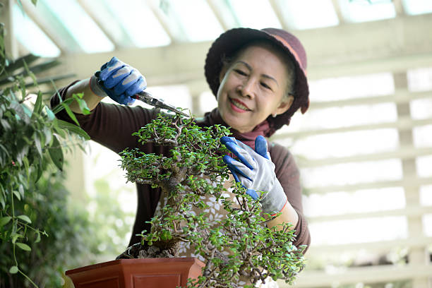Senior woman gardening