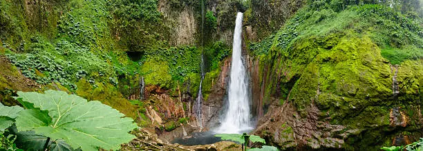 A waterfall plunges 300 ft into the crater of an extinct volcano in a tropical rainforest in Costa Rica.