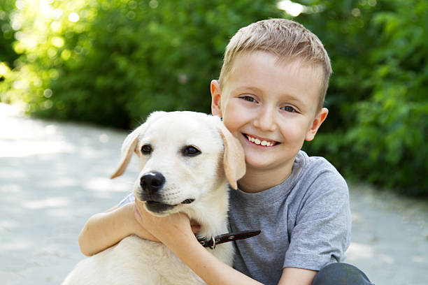 istock Happy young male child hugging white dog 171582333