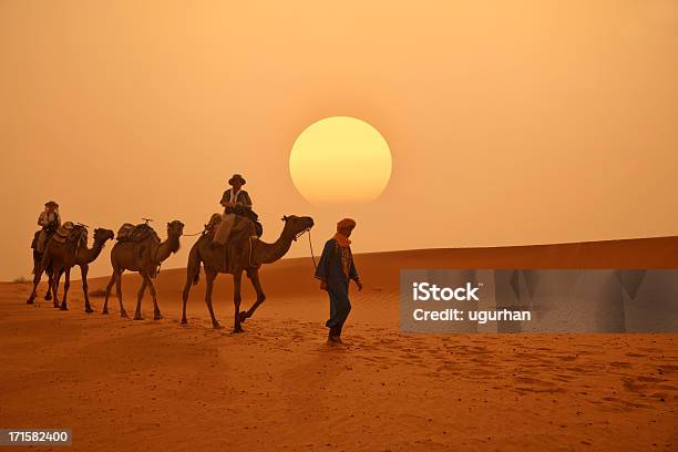 Morocco Stock Photo - Download Image Now - Morocco, Camel, Desert Area
