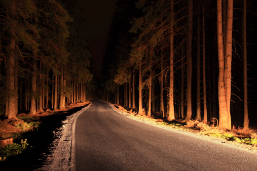 Road through the forest illuminated by car lights