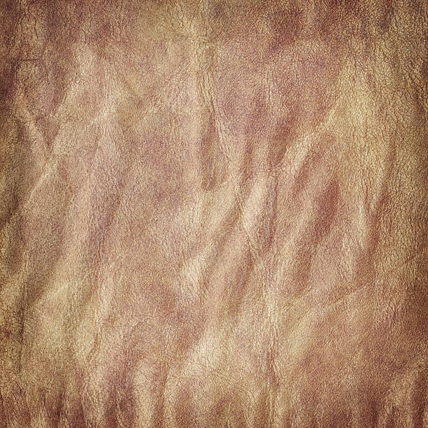 istock High Resolution Animal Skin Parchment Grunge Texture 171582794