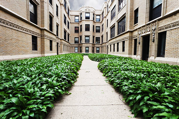 edifici residenziali con hostas a rogers park, chicago - townhouse apartment midwest usa house foto e immagini stock