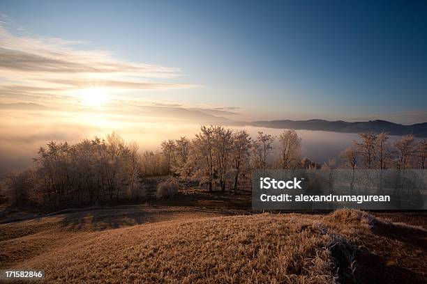 Ländliches Motiv Stockfoto und mehr Bilder von Baum - Baum, Entspannung, Fotografie