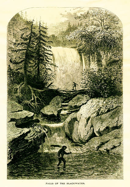 Antique illustration of Blackwater Falls in West Virginia, USA. Engraving published in Picturesque America (D. Appleton & Co., New York, 1872).MORE VINTAGE AMERICAN ILLUSTRATIONS HERE: