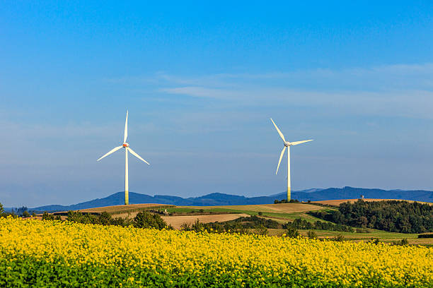 풍력 터빈 - wind turbine austria field yellow 뉴스 사진 이미지