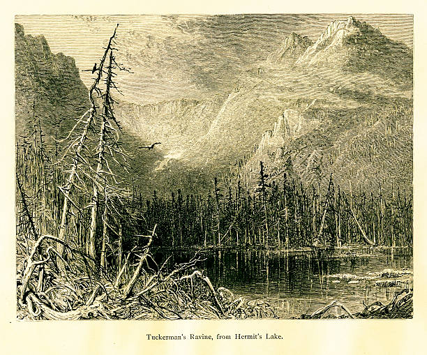 tuckerman ущелье в белые горы нью-гэмпшир - tuckerman ravine stock illustrations