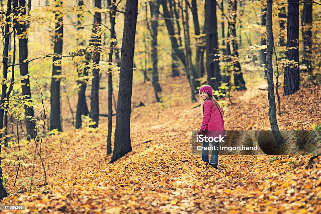 Littlt Mädchen walking im Herbst-Wald - Lizenzfrei Gehen Stock-Foto