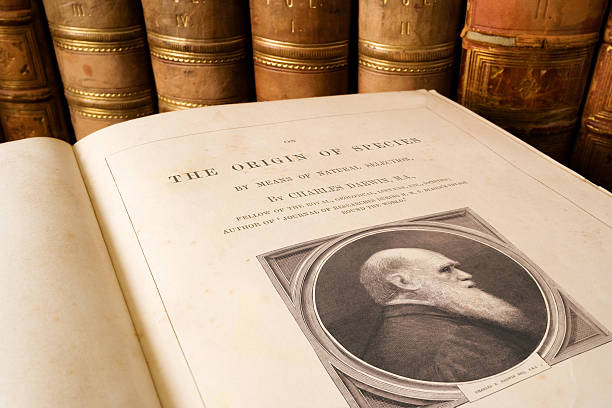 Origin of Species - Charles Darwin Antique copy of On the Origin of Species by Charles Darwin, first published in 1859 it is considered to be the foundation of evolutionary biology creation stock pictures, royalty-free photos & images