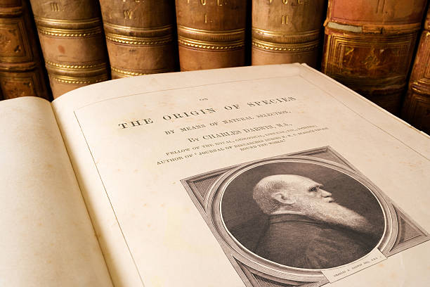 Origin of Species - Charles Darwin Antique copy of On the Origin of Species by Charles Darwin, first published in 1859 it is considered to be the foundation of evolutionary biology living organism stock pictures, royalty-free photos & images