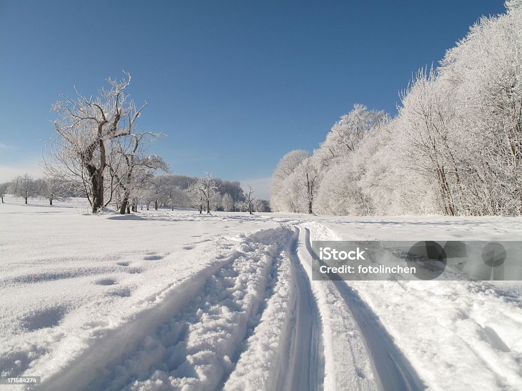 Winter-Landschaft - Lizenzfrei Ast - Pflanzenbestandteil Stock-Foto