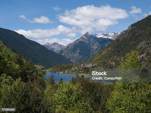 Parque Nacional Aigüestortes Foto de stock y más banco de imágenes de Agua - Agua, Aire libre, Arbolado